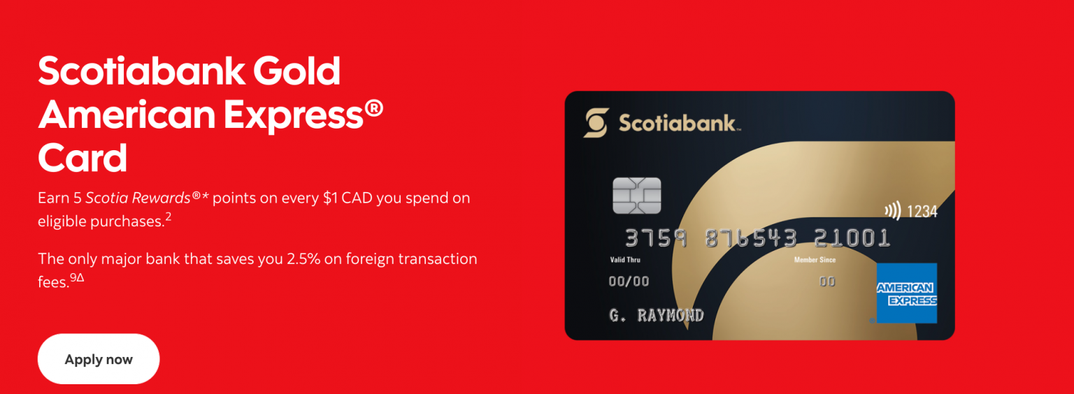 The Best Scotiabank Credit Cards Of 2021 | Yore Oyster